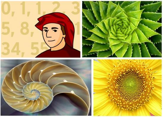 séquence de fibonacci